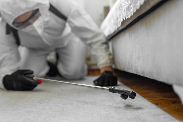 Professional Rodent Control technician working in Three Way, TN