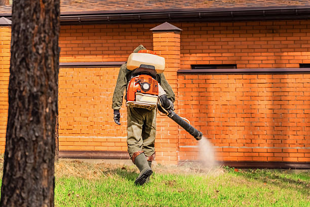 Trusted Cockroach Control service in Three Way, TN - Nex Pest Control
